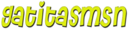 GatitasMSN